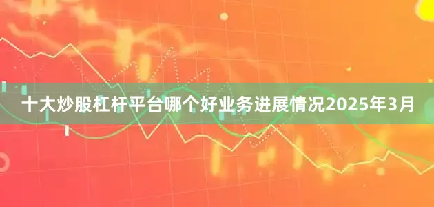 十大炒股杠杆平台哪个好　　业务进展情况　　2025年3月