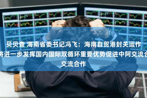 贝贝查 海南省委书记冯飞：海南自贸港封关运作后将进一步发挥国内国际双循环重要优势促进中阿交流合作