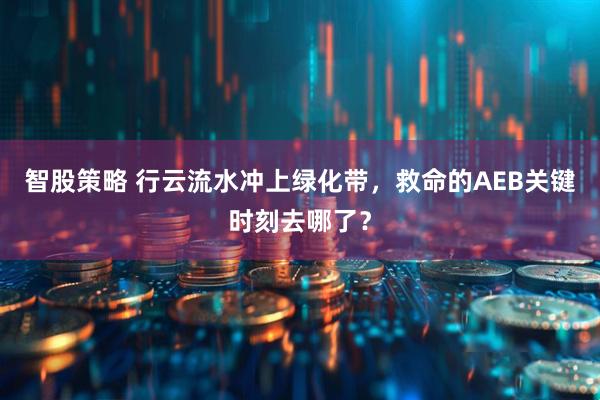 智股策略 行云流水冲上绿化带，救命的AEB关键时刻去哪了？