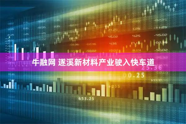 牛融网 遂溪新材料产业驶入快车道