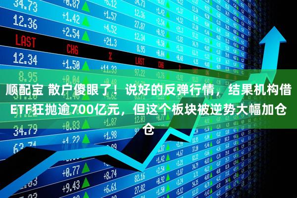 顺配宝 散户傻眼了！说好的反弹行情，结果机构借ETF狂抛逾700亿元，但这个板块被逆势大幅加仓