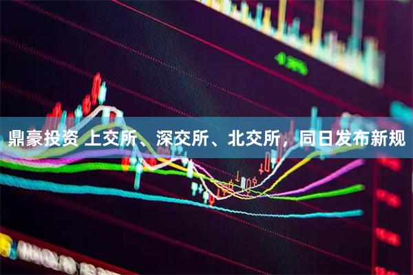 鼎豪投资 上交所、深交所、北交所，同日发布新规